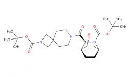 tert-butyl 7-[(1S,3S,4S,5R)-2-(tert-butoxycarbonyl)-5-hydroxy-2-azabicyclo[2.2.2]octane-3-carbonyl]-2,7-diazaspiro[3.5]nonane-2-carboxylate