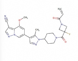 6-(1-(1-(1-acryloyl-3-fluoroazetidine-3-carbonyl)piperidin-4-yl)-5-methyl-1H-pyrazol-4-yl)-4-methoxypyrazolo[1,5-a]pyridine-3-carbonitrile