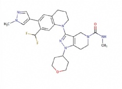 3-(7-(difluoromethyl)-6-(1-methyl-1H-pyrazol-4-yl)-3,4-dihydroquinolin-1(2H)-yl)-N-methyl-1-(tetrahydro-2H-pyran-4-yl)-1,4,6,7-tetrahydro-5H-pyrazolo[4,3-c]pyridine-5-carboxamide