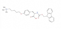 (S)-5-(4-(2-((((9H-fluoren-9-yl)methoxy)carbonyl)amino)-2-carboxyethyl)phenoxy)-N,N,N-trimethylpentan-1-aminium