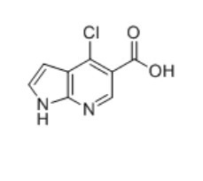 4-chloro-1H-pyrrolo[2,3-b]pyridine-5-carboxylic acid
