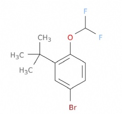 4-bromo-2-(tert-butyl)-1-(difluoromethoxy)benzene