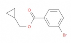 Cyclopropylmethyl 3-bromobenzoate