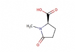 (2R)-1-methyl-5-oxopyrrolidine-2-carboxylic acid