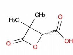 (2R)-3,3-dimethyl-4-oxooxetane-2-carboxylic acid