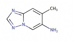 7-Methyl-[1,2,4]triazolo[1,5-a]pyridin-6-amine
