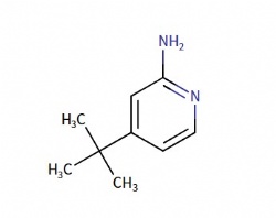4-(tert-Butyl)pyridin-2-amine