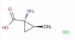 (1S,2S)-1-amino-2-methylcyclopropane-1-carboxylic