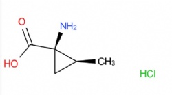 (1R,2S)-1-amino-2-methylcyclopropane-1-carboxylic acid