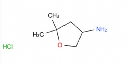 5,5-Dimethyloxolan-3-amine hydrochloride