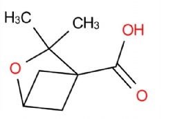 3,3-dimethyl-2-oxabicyclo[2.1.1]hexane-4-carboxylic acid
