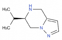 (6R)-6-(propan-2-yl)-4H,5H,6H,7H-pyrazolo[1,5-a]pyrazine