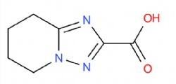 5,6,7,8-Tetrahydro-[1,2,4]triazolo[1,5-a]pyridine-2-carboxylic acid