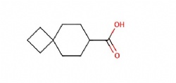 Spiro[3.5]nonane-7-carboxylic acid