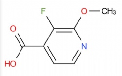 3-Fluoro-2-methoxypyridine-4-carboxylic acid