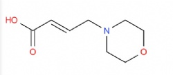 (E)-4-morpholinobut-2-enoic acid