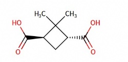 (1R,3R)-2,2-dimethylcyclobutane-1,3-dicarboxylic acid