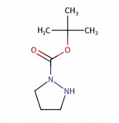 tert-Butyl pyrazolidine-1-carboxylate