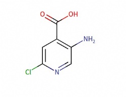 5-Amino-2-chloro-isonicotinic acid
