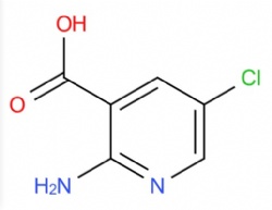 2-Amino-5-chloronicotinic acid