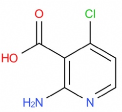 2-amino-4-chloronicotinic acid