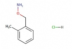 O-(2-methylbenzyl)hydroxylamine hydrochloride