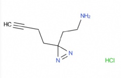 2-(3-(but-3-yn-1-yl)-3H-diazirin-3-yl)ethan-1-amine hydrochloride