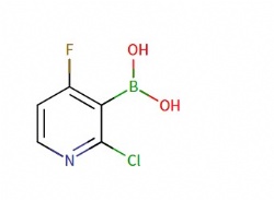 (2-chloro-4-fluoropyridin-3-yl)boronic acid
