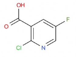 2-chloro-5-fluoronicotinic acid