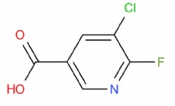 5-chloro-6-fluoronicotinic acid