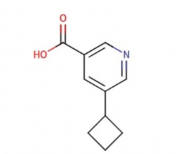 5-cyclobutylnicotinic acid