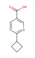 6-cyclobutylnicotinic acid