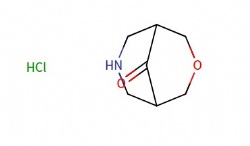 3-oxa-7-azabicyclo[3.3.1]nonan-9-one hydrochloride