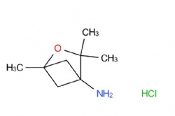 1,3,3-Trimethyl-2-oxabicyclo(2.1.1)hexan-4-amine hydrochloride