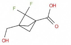 2,2-Difluoro-3-(hydroxymethyl)bicyclo[1.1.1]pentane-1-carboxylic Acid