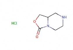 Hexahydro-oxazolo[3,4-a]pyrazin-3-one hydrochloride