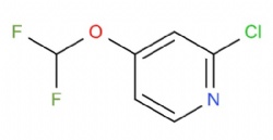 2-chloro-4-(difluoromethoxy)pyridine