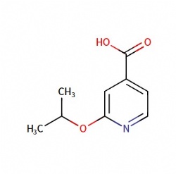 2-isopropoxyisonicotinic acid