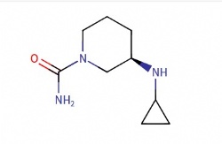 (R)-3-(cyclopropylamino)piperidine-1-carboxamide