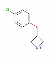 3-(4-chlorophenoxy)azetidine