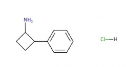2-phenylcyclobutan-1-amine hydrochloride