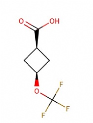 3-(Trifluoromethoxy)cyclobutane-1-carboxylic acid