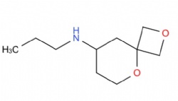 N-propyl-2,5-dioxaspiro[3.5]nonan-8-amine
