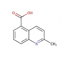 2-methylquinoline-5-carboxylic acid