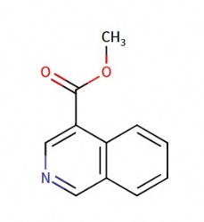 methyl isoquinoline-4-carboxylate