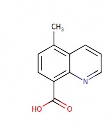 5-methylquinoline-8-carboxylic acid