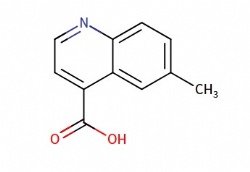 6-methylquinoline-4-carboxylic acid