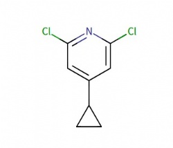 2,6-dichloro-4-cyclopropylpyridine