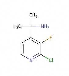 2-(2-chloro-3-fluoropyridin-4-yl)propan-2-amine