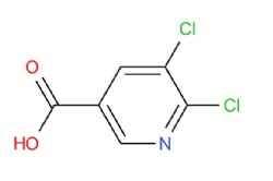 5,6-dichloronicotinic acid